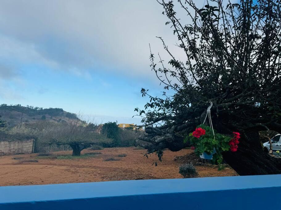 La Casita De Rosi